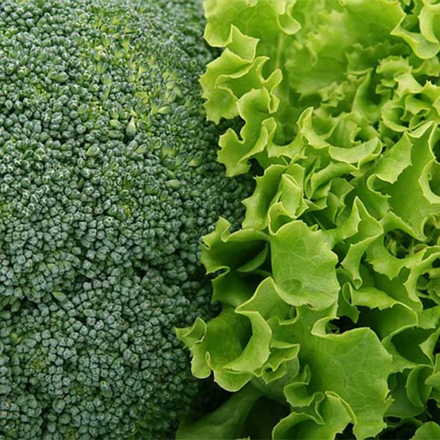 Broccoli / Insalata